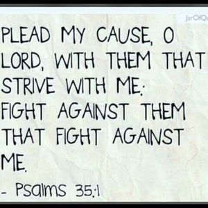 Meet your Posher, Traceyann